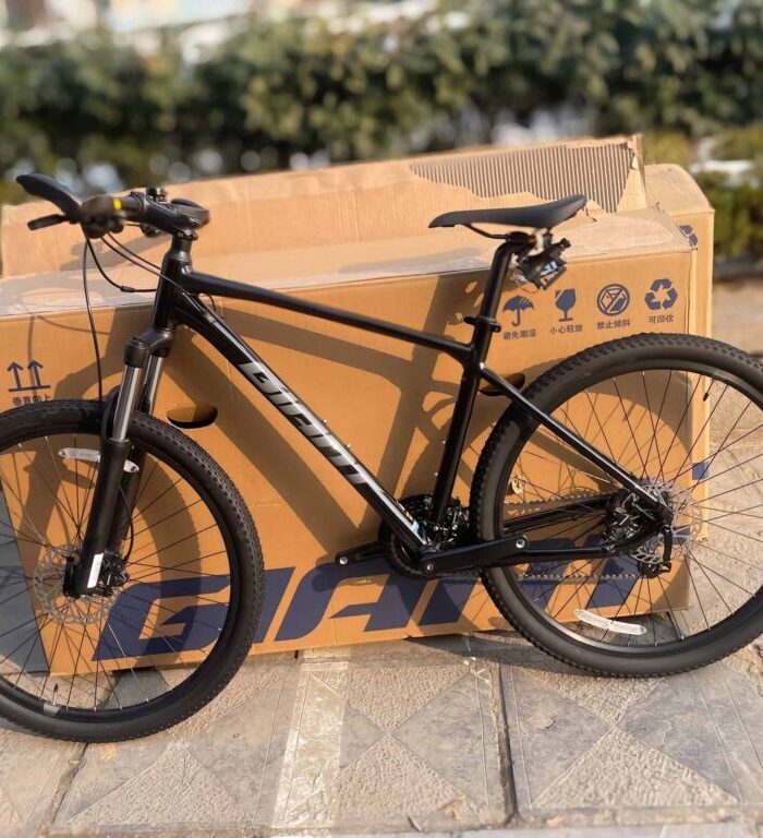 Xe Đạp Giant ATX 810 Bánh 29 inch