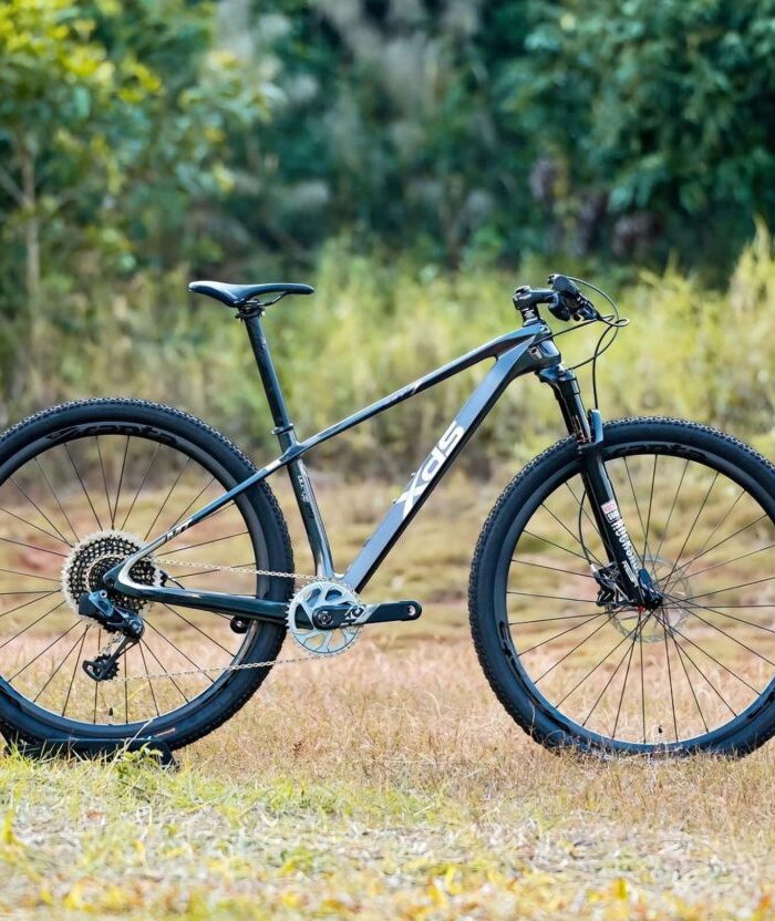 Xe Đạp XdS MT7 Carbon