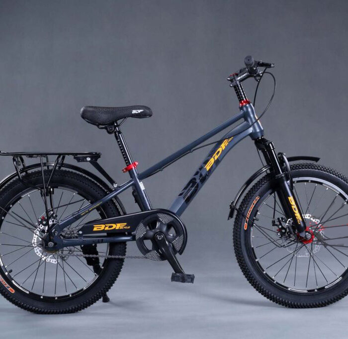 Xe Đạp Trẻ Em BDF 24inch